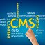 Content Management Systems: Not Just for Updating Content